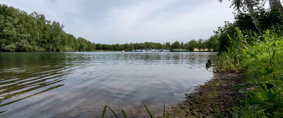 Blick auf einen ruhigen See mit einem von Bäumen gesäumten Ufer, sichtbaren Booten in der Ferne und grünem Laub entlang des Ufers im Vordergrund.